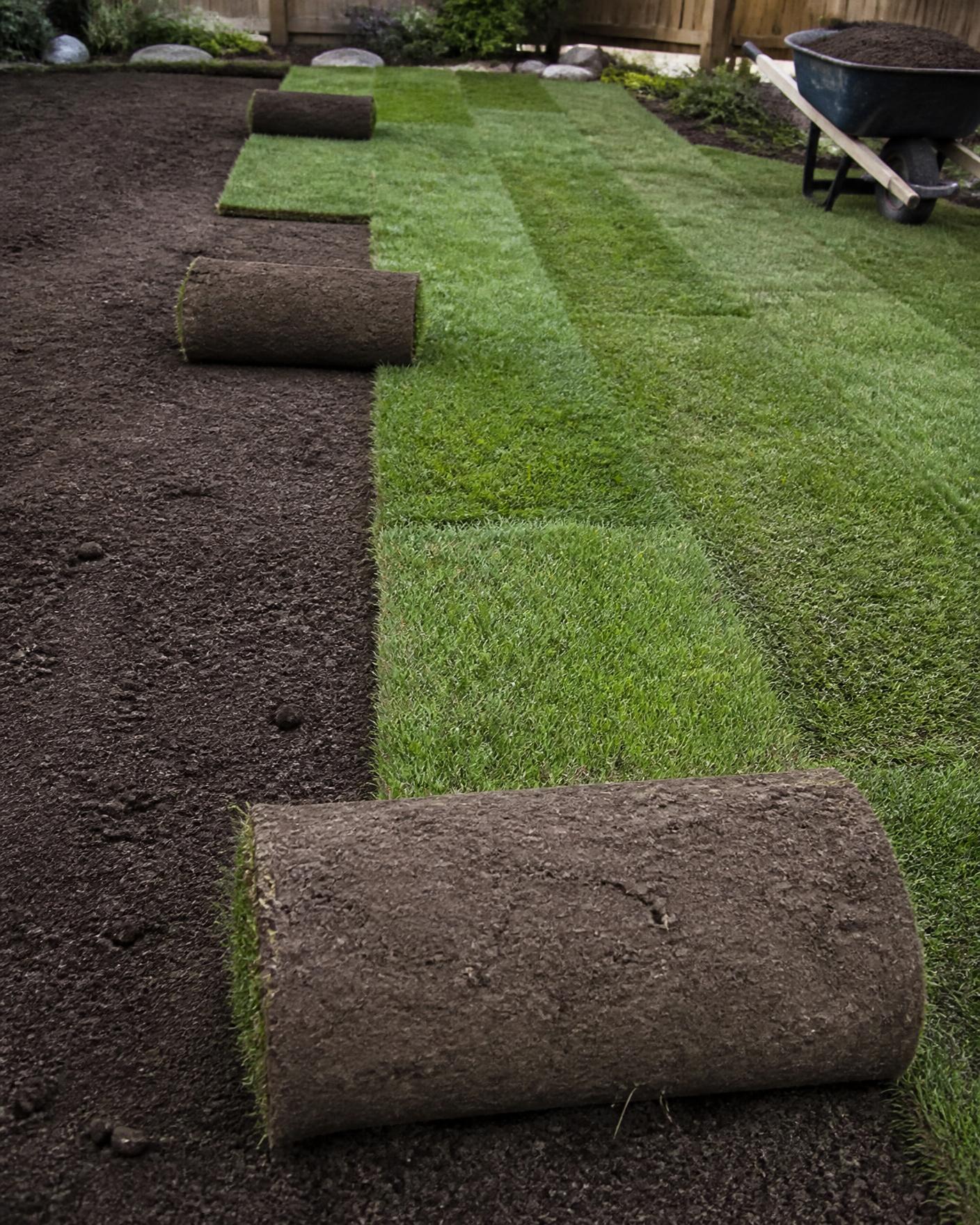 Sod Installation in Northern Colorado by Castro's Landscaping
